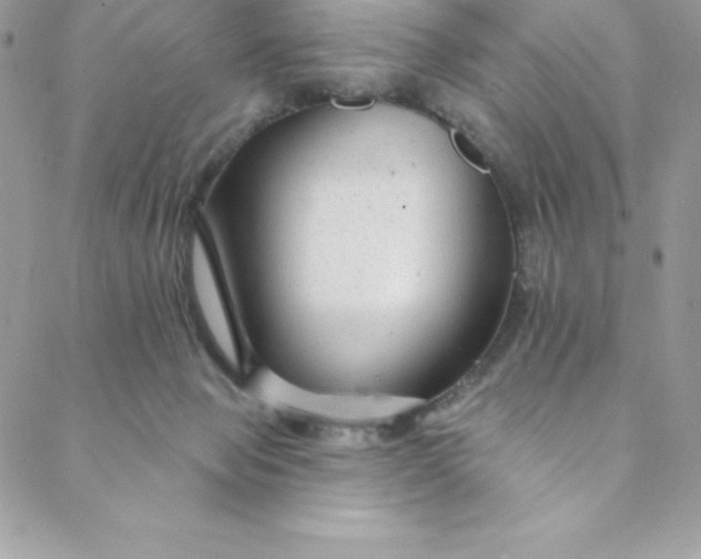 X0000088750077200706141739