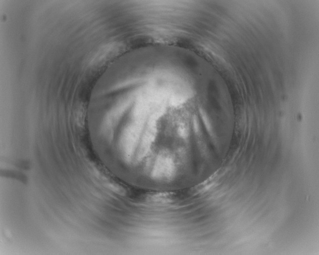 X0000088750078200706141739