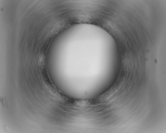 X0000088750079200706141739