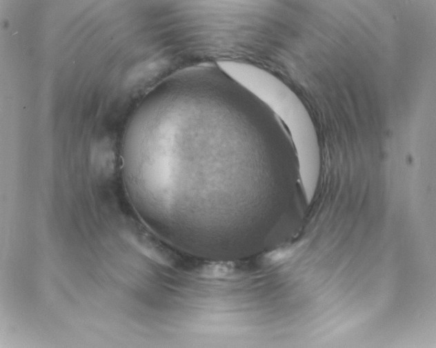 X0000088750080200706141739