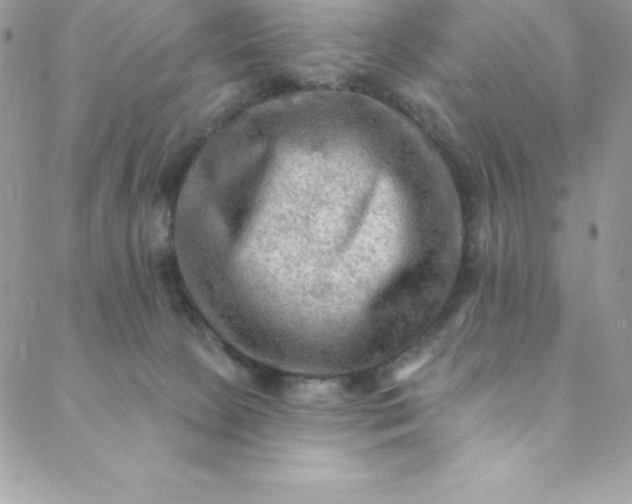 X0000088750081200706141739