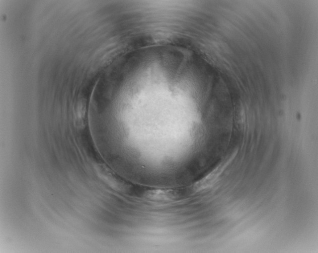 X0000088750082200706141739