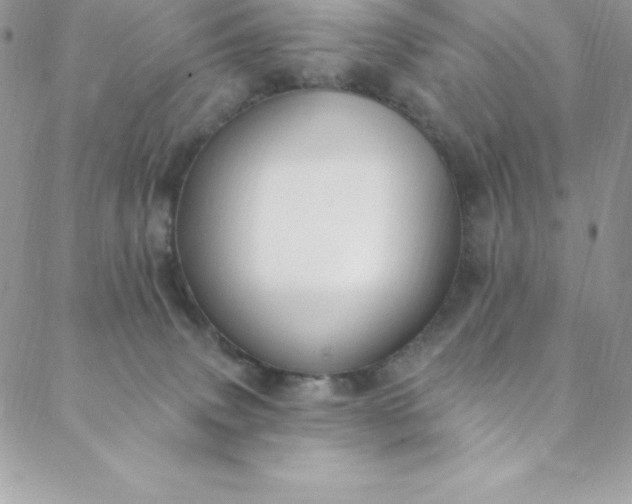 X0000088750083200706141739