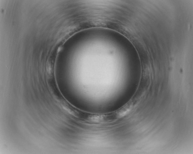 X0000088750084200706141739