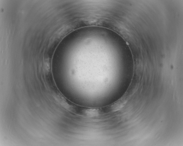 X0000088750085200706141739