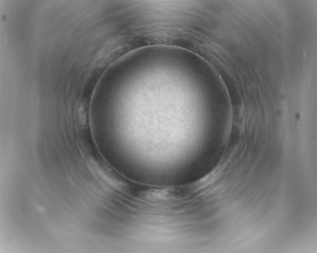 X0000088750086200706141739