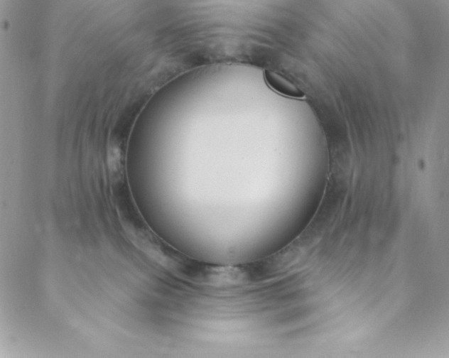 X0000088750087200706141739