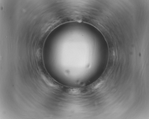 X0000088750088200706141739