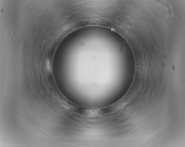 X0000088750089200706141739