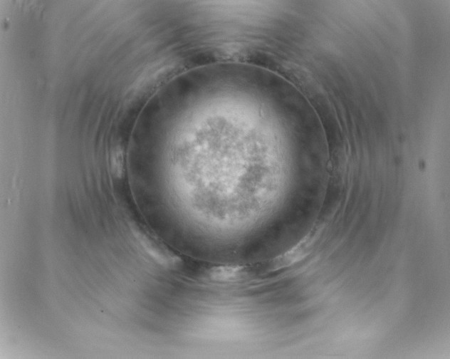 X0000088750090200706141739