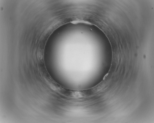 X0000088750091200706141739