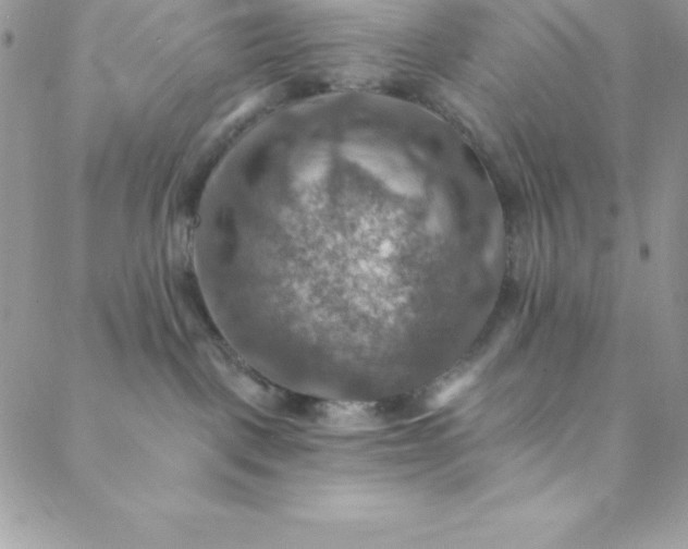 X0000088750093200706141739