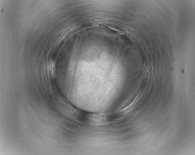 X0000088750094200706141739