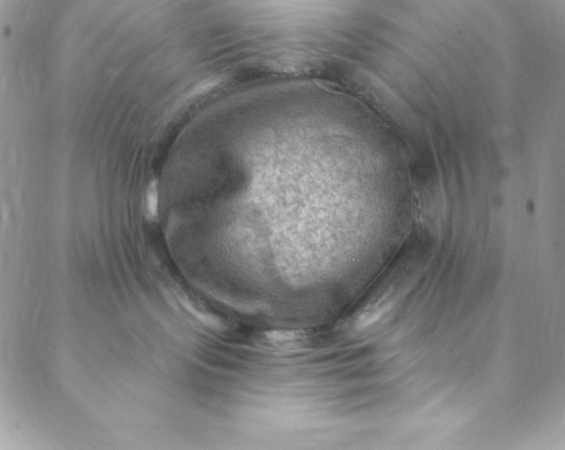 X0000088750095200706141739