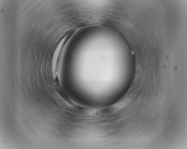 X0000088750096200706141739