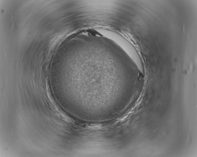 X0000088750097200706141738