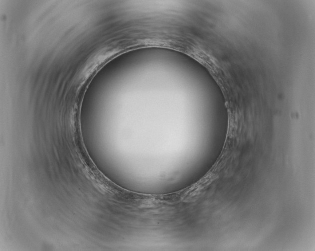 X0000088750098200706141738