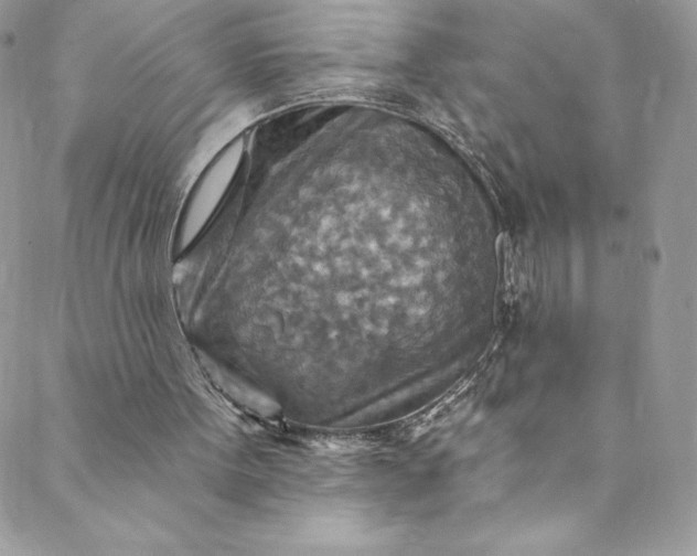 X0000088750099200706141738