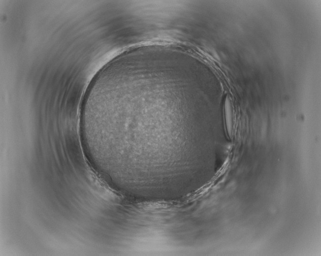 X0000088750100200706141738