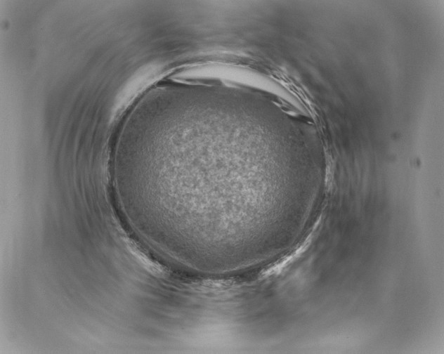 X0000088750101200706141738