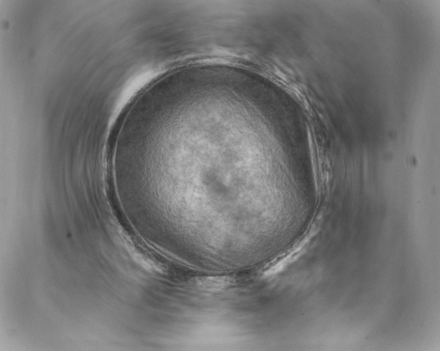 X0000088750102200706141738