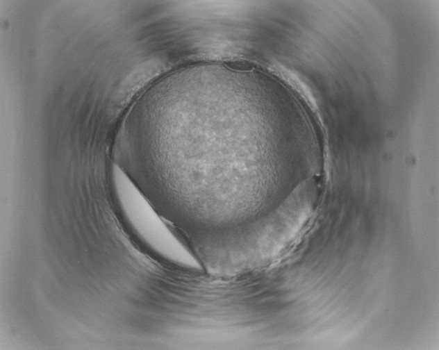 X0000088750105200706141738