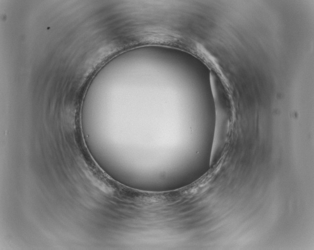 X0000088750106200706141738