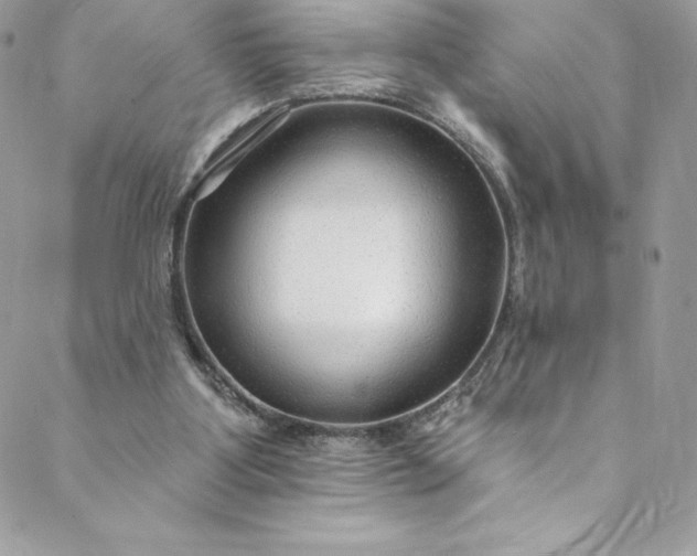 X0000088750107200706141738