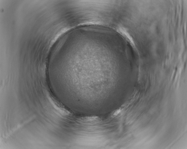 X0000088750108200706141738