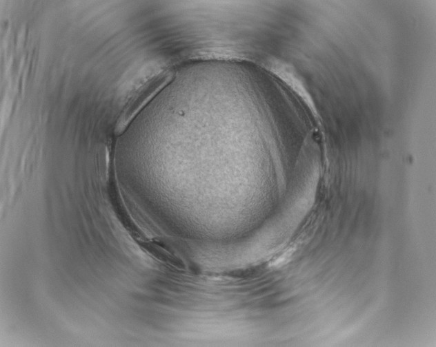 X0000088750109200706141738