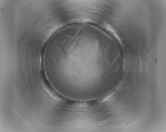 X0000088750110200706141738