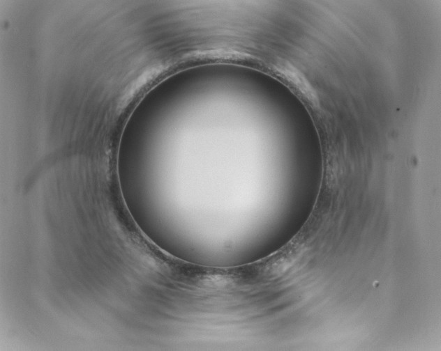 X0000088750111200706141738