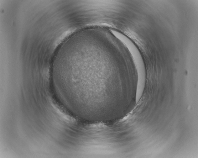 X0000088750112200706141738