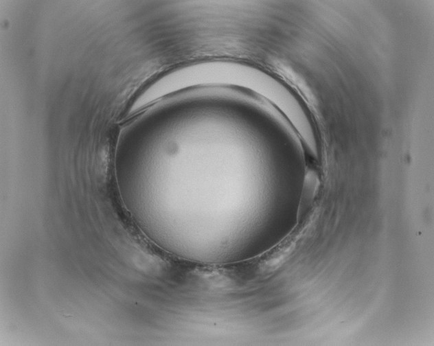 X0000088750113200706141738