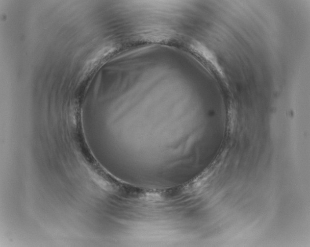 X0000088750114200706141738