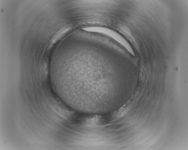 X0000088750116200706141738