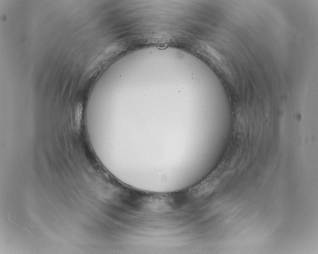 X0000088750118200706141738