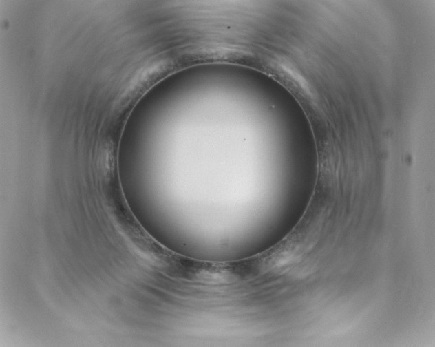 X0000088750119200706141738