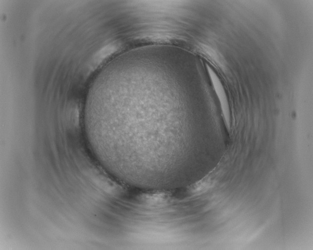 X0000088750120200706141738