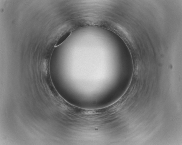 X0000088750121200706141738