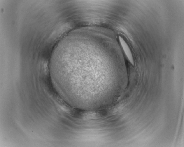 X0000088750123200706141738