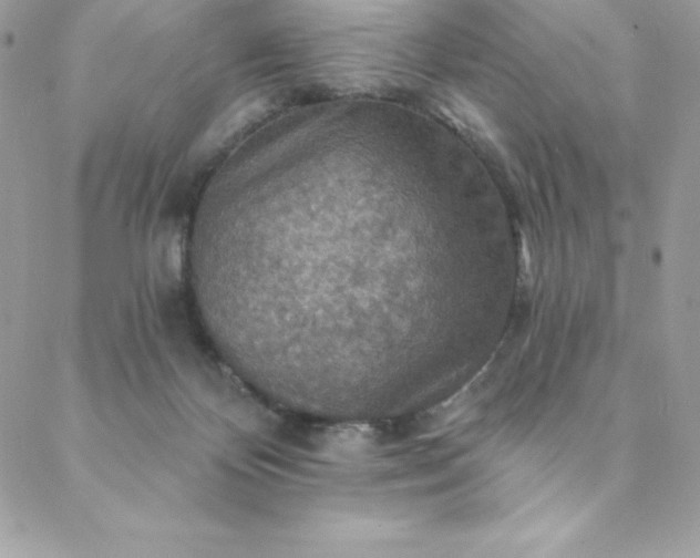 X0000088750124200706141738