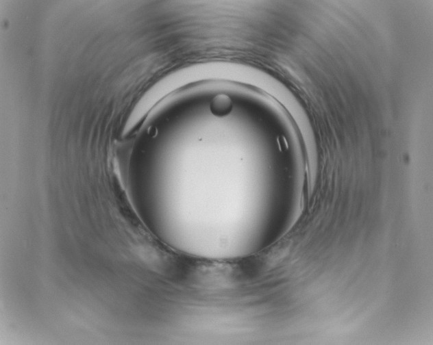 X0000088750125200706141738