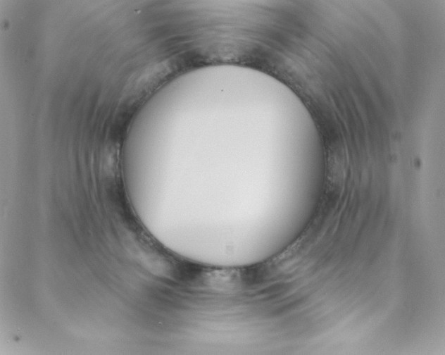 X0000088750126200706141738