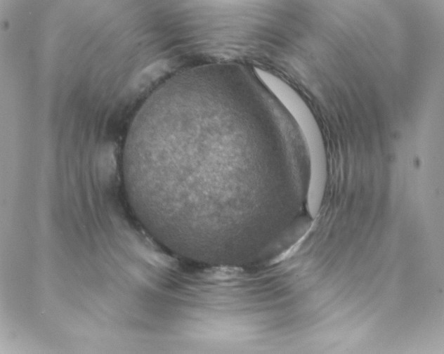 X0000088750128200706141738