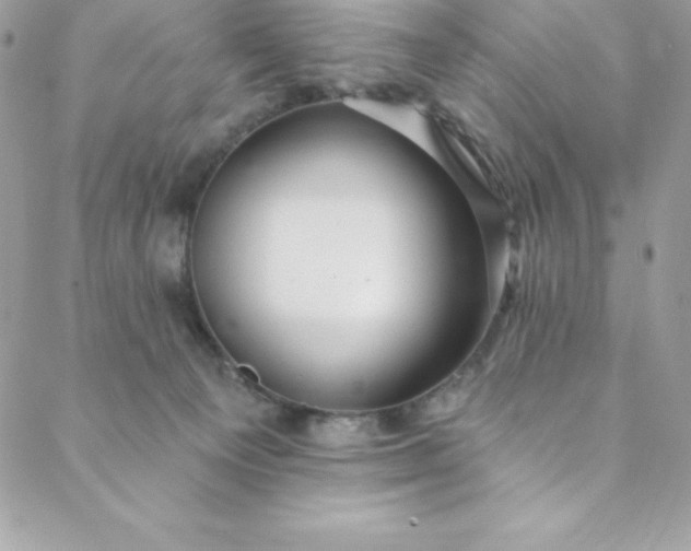 X0000088750129200706141738