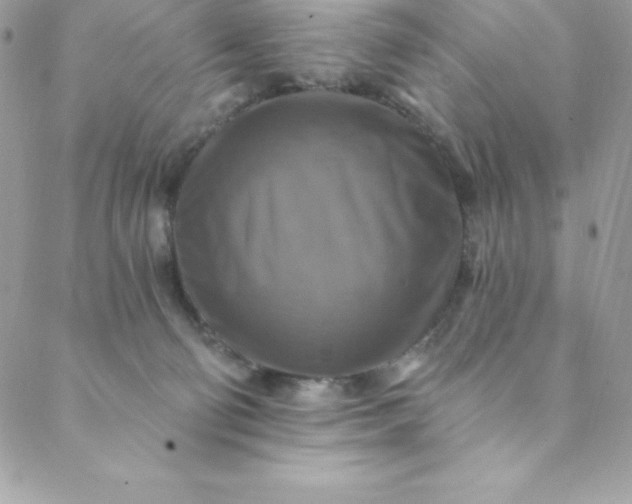 X0000088750130200706141738