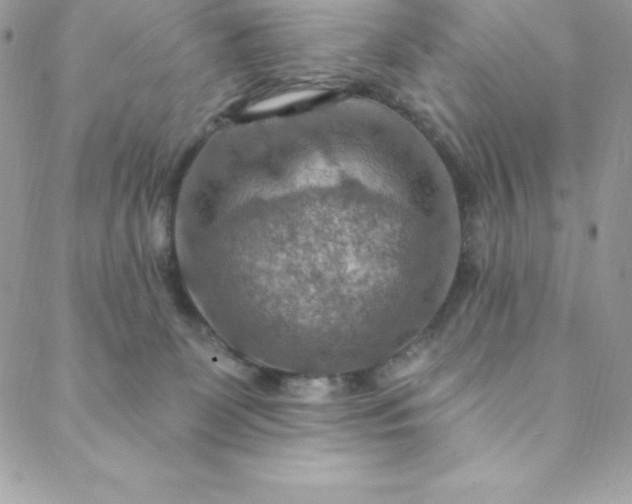 X0000088750131200706141738