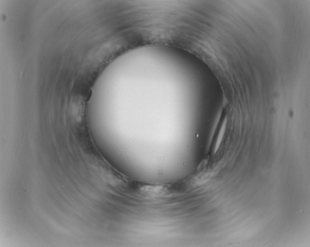 X0000088750133200706141738