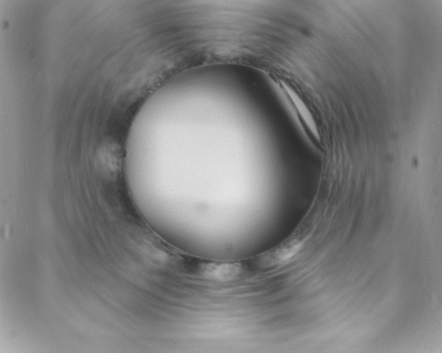 X0000088750135200706141737